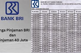 Pinjaman Bri Umum Berapa Persen